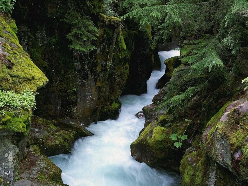 River Flowing Through Canyon — Green, Serene, Photograph, Moss