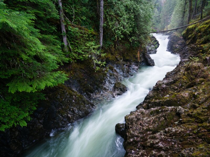 River Flowing Through Canyon — Green, Serene, Photograph, Trees
