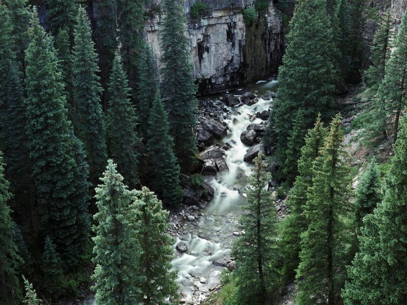 River Flowing Through Canyon — Green, Serene