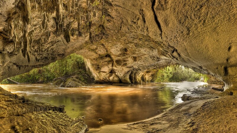 River Flowing Through Cave — Brown, Serene, Afternoon, Photograph, Trees, Green, Yellow