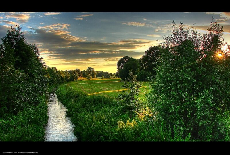 River Flowing Through Field — Green