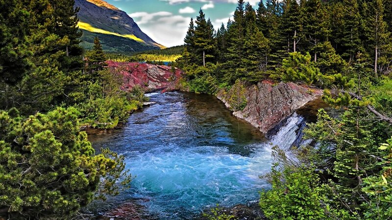 river flowing through forest