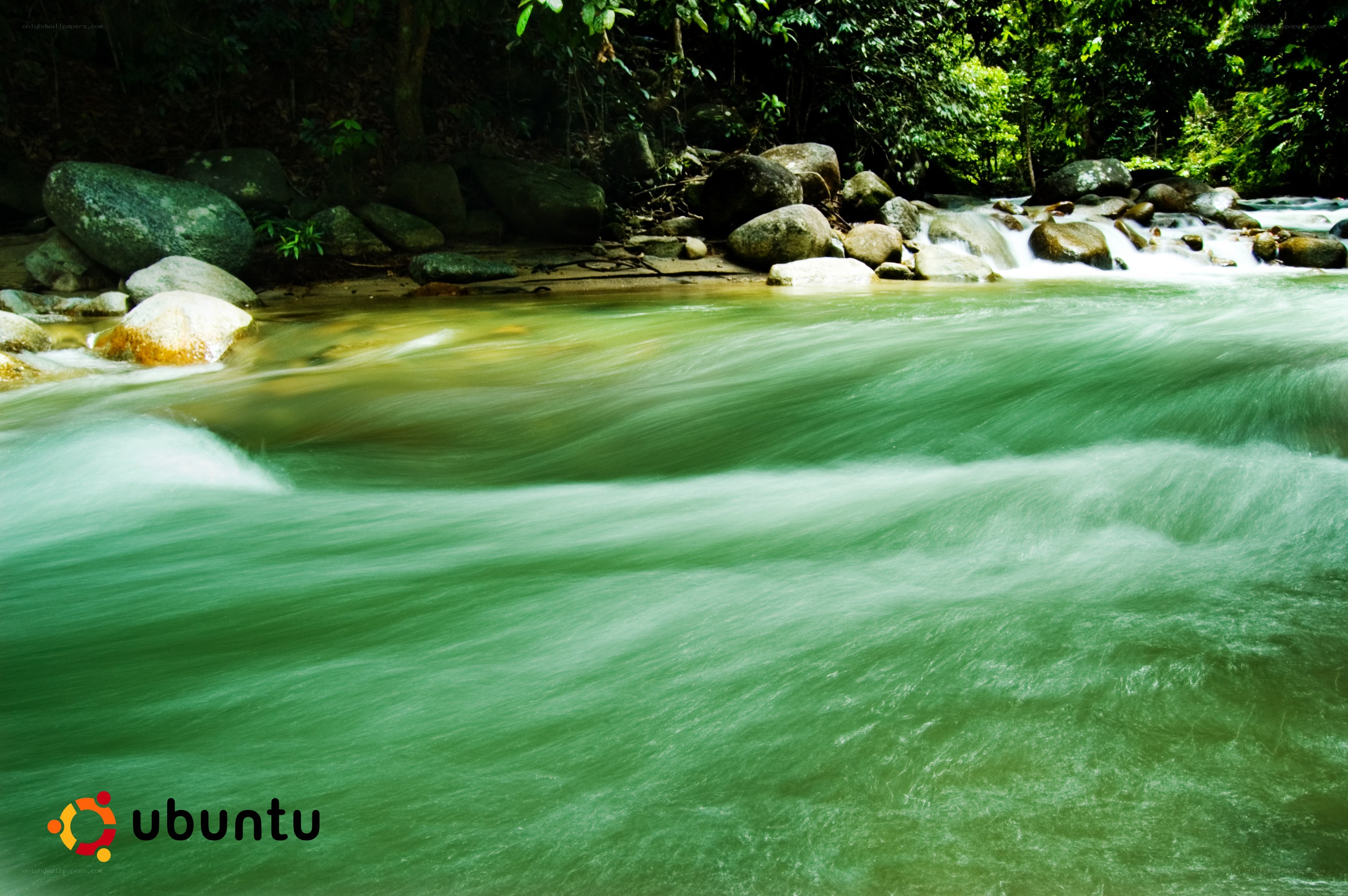 River flowing through forest