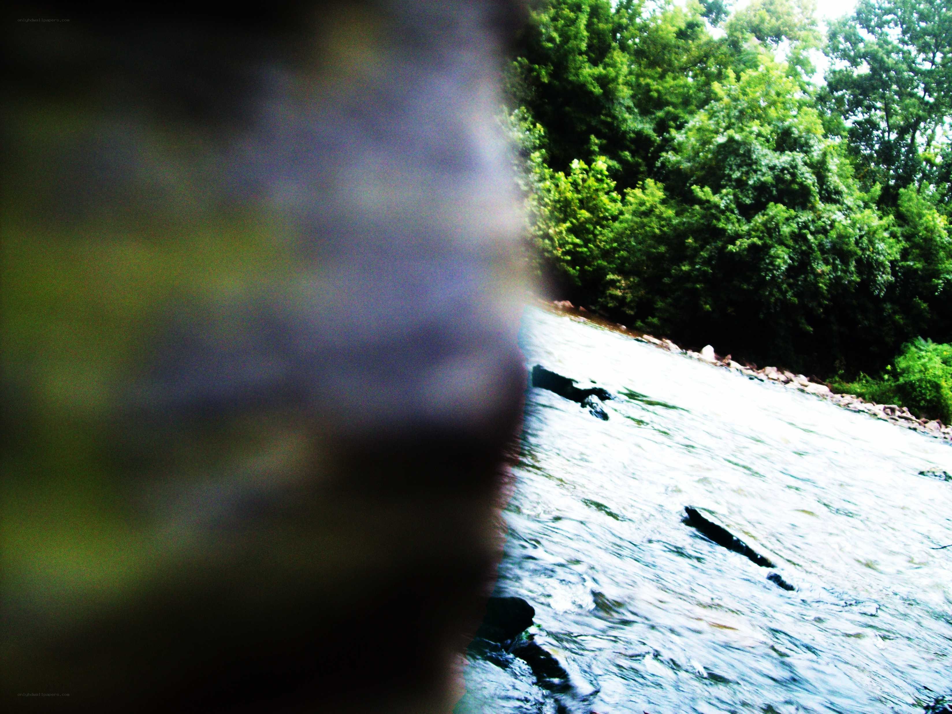 river flowing through forest