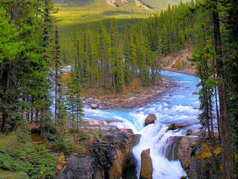 river flowing through forest