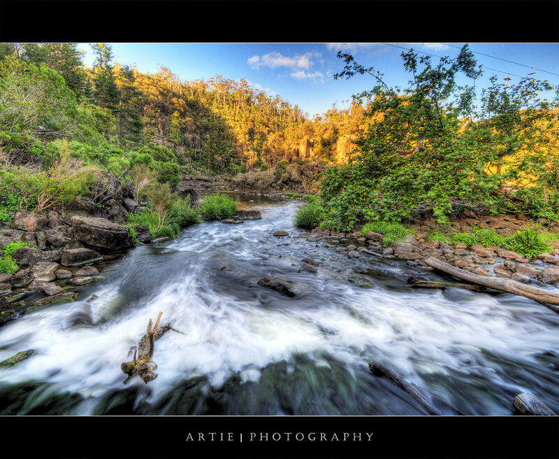 River flowing through forest