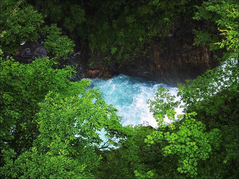river flowing through forest