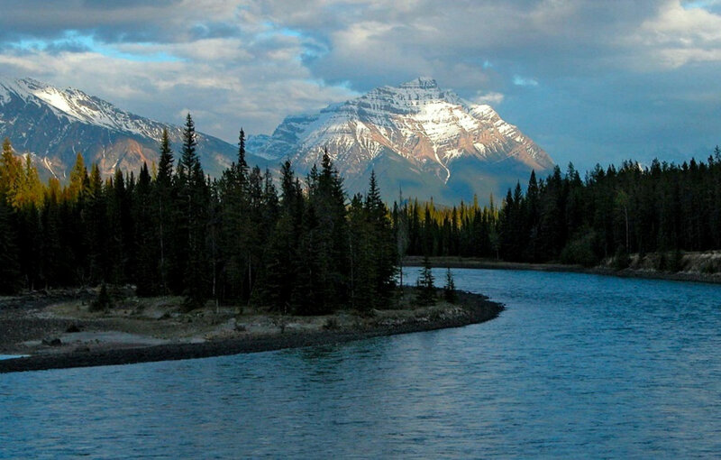 river flowing through forest
