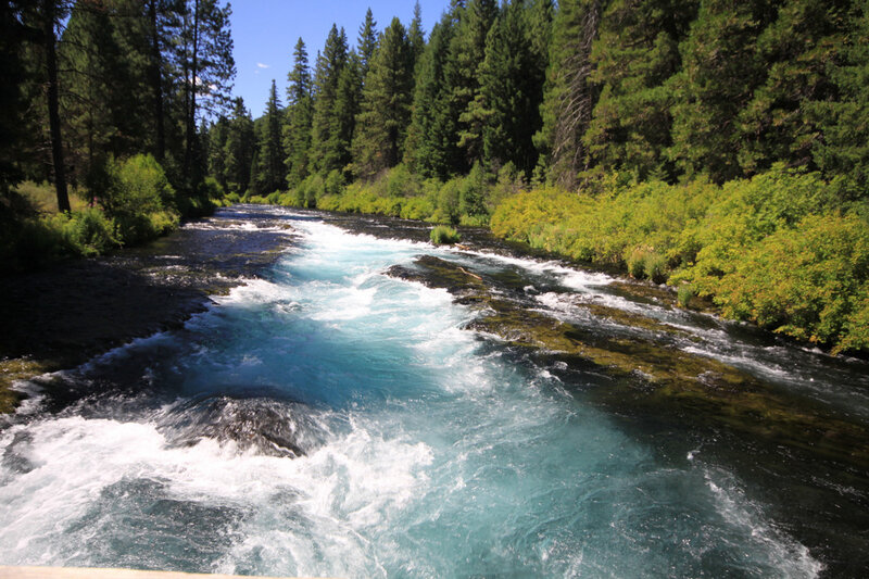 river flowing through forest