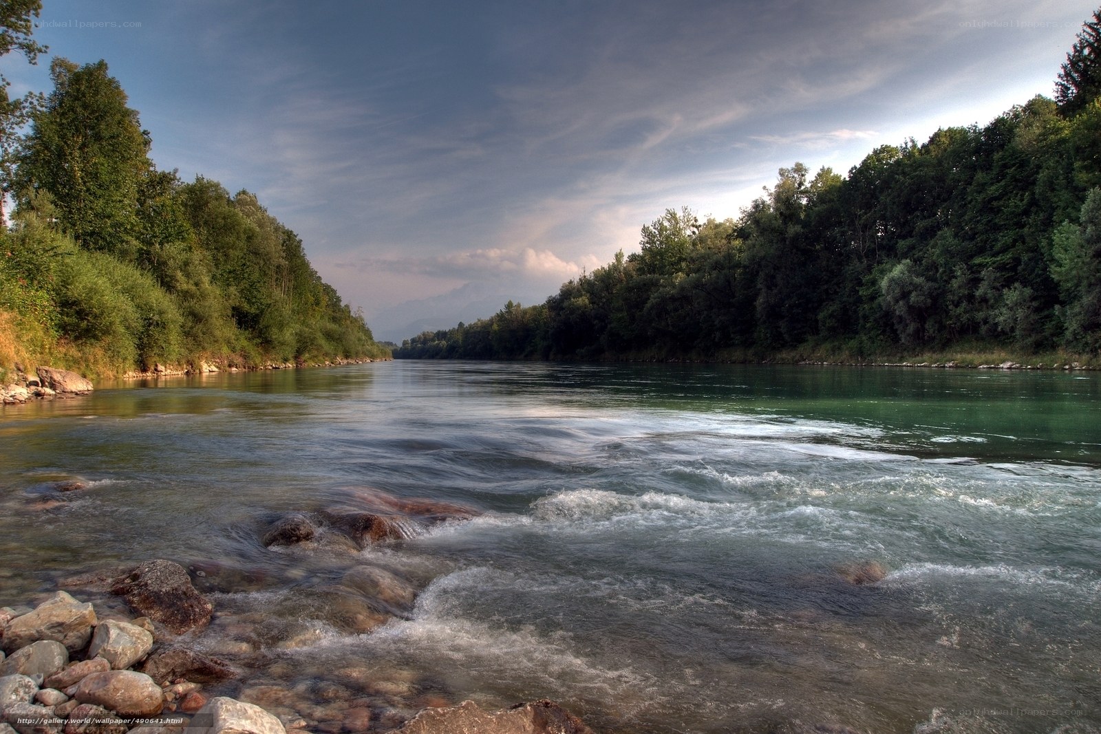 River flowing through forest