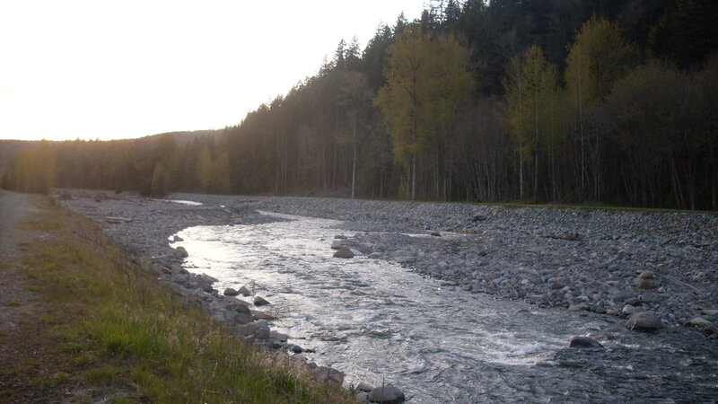 river flowing through forest