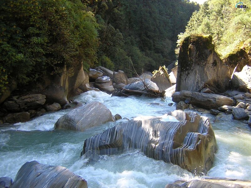 River flowing through forest