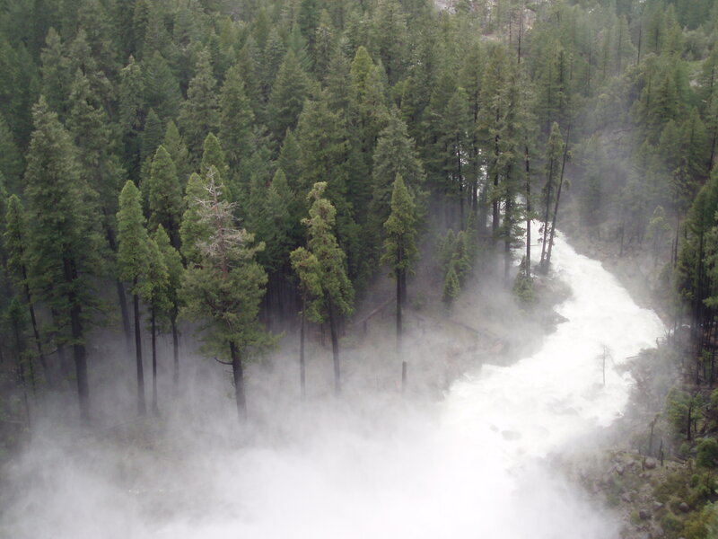 river flowing through forest