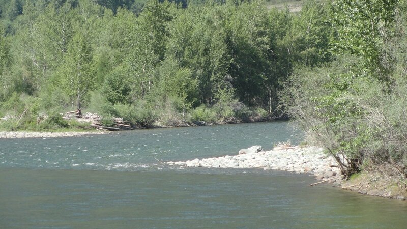 river flowing through forest