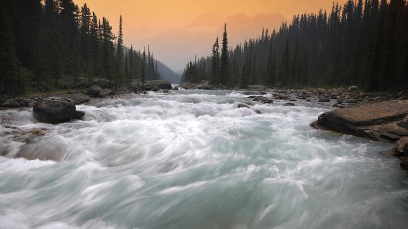 river flowing through forest at sunset