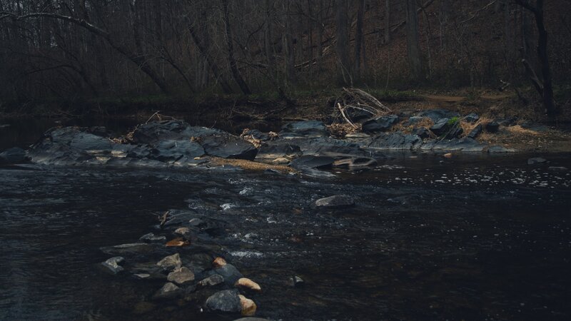 River Flowing Through Forest — Black, Somber