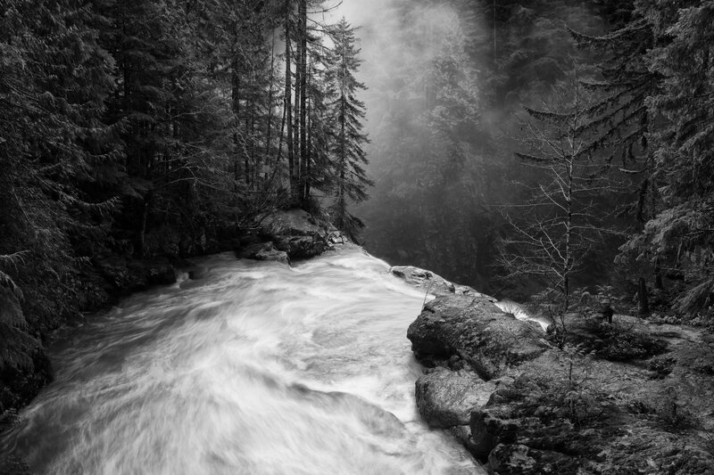 River Flowing Through Forest — Black
