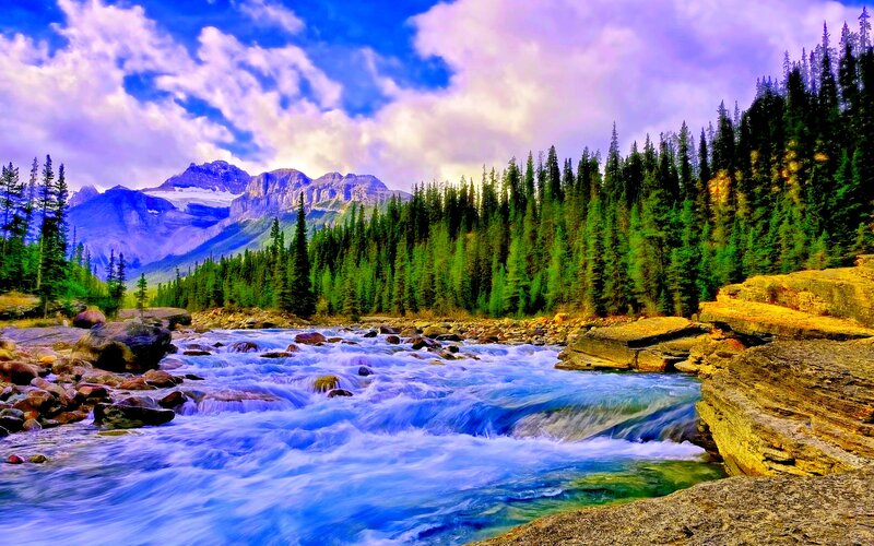 River Flowing Through Forest — Blue, Dramatic, Afternoon, Photograph