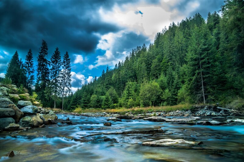 River Flowing Through Forest — Blue, Dramatic, Afternoon, Photograph, Trees, Rocks