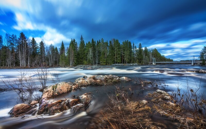 River Flowing Through Forest — Blue, Dramatic, Night, Photograph