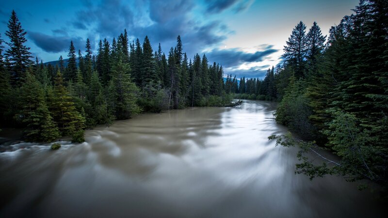 River Flowing Through Forest — Blue, Dramatic, Night