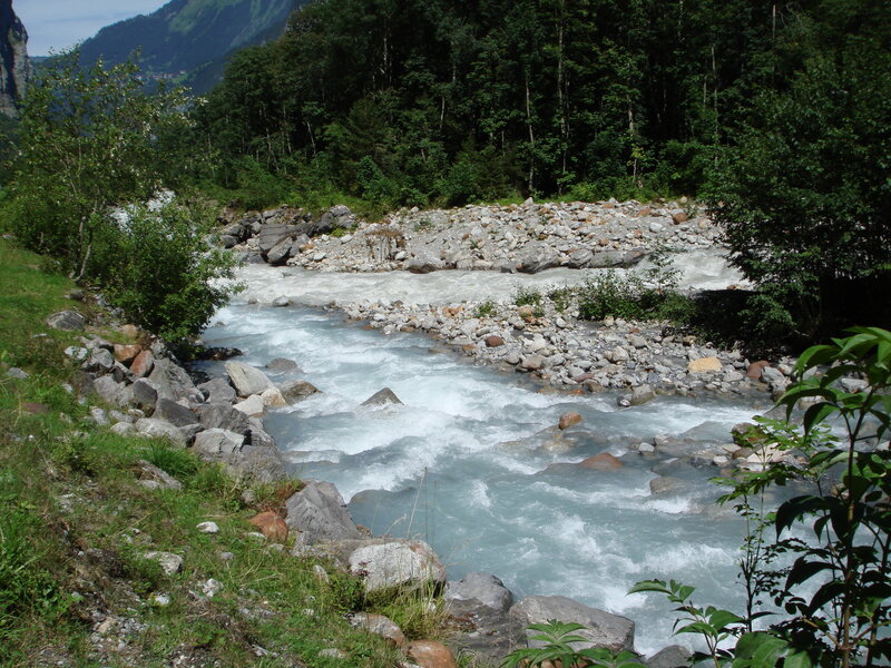 River Flowing Through Forest — Blue, Natural