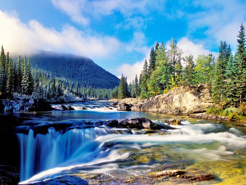River Flowing Through Forest — Blue, Serene, Afternoon, Photograph, Mountain, Trees, Rocks, Green, Brown