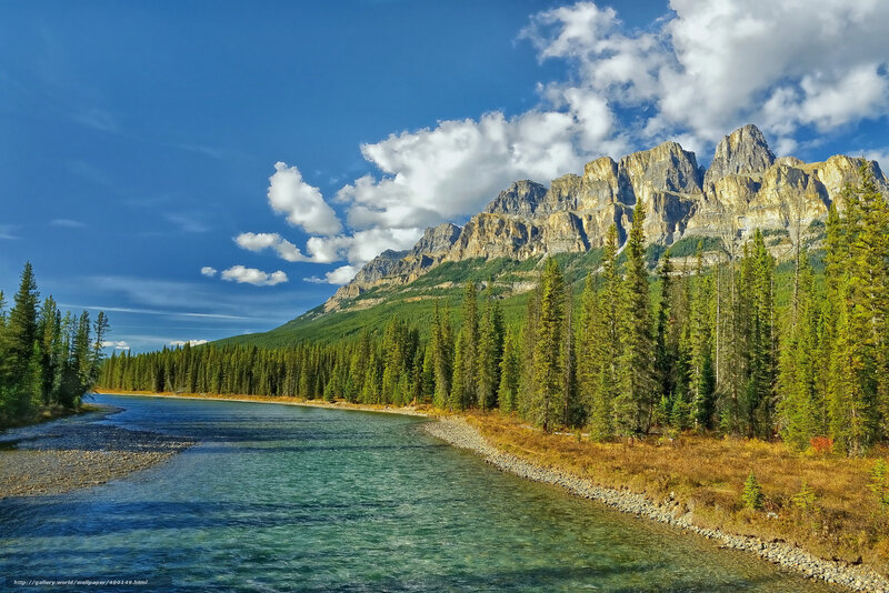 River Flowing Through Forest — Blue, Serene, Afternoon, Photograph, Mountains, Trees, Clouds