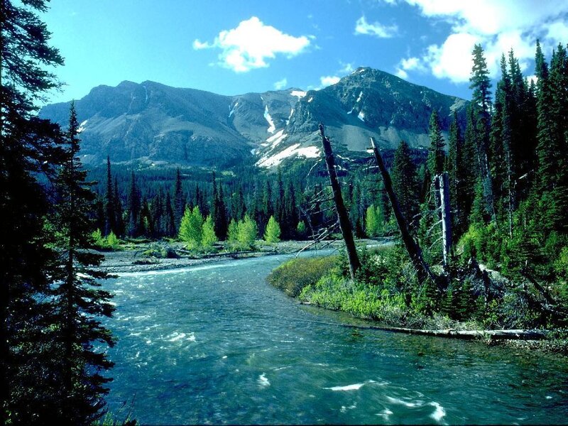 River Flowing Through Forest — Blue, Serene, Afternoon, Photograph, Mountains, Trees, Green