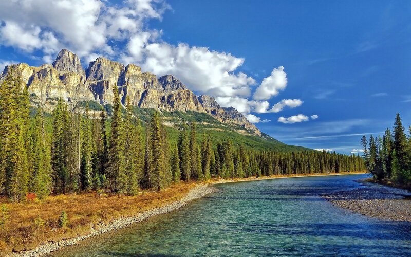 River Flowing Through Forest — Blue, Serene, Afternoon, Photograph, Mountains, Trees, Sky, Green, Brown