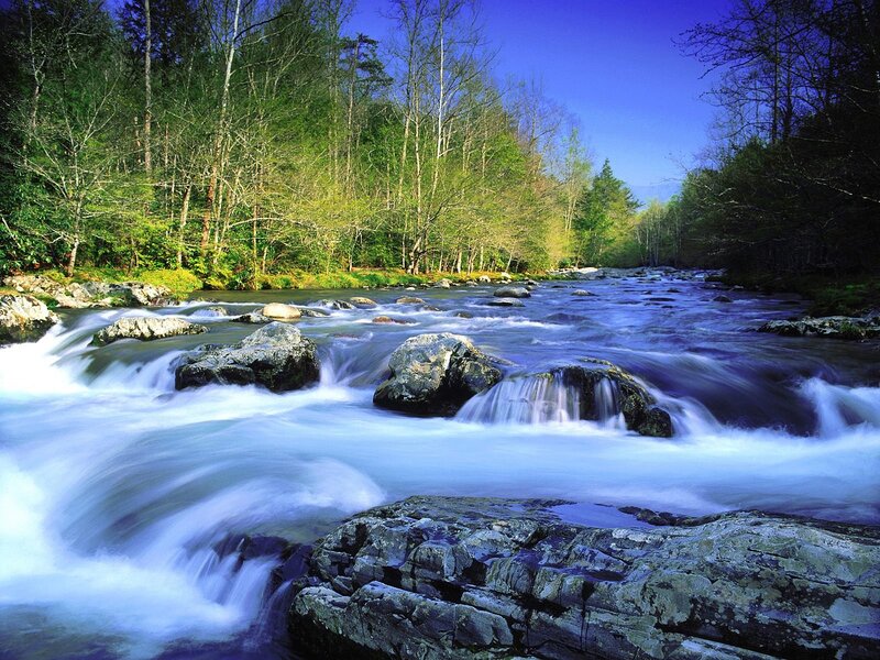 River Flowing Through Forest — Blue, Serene, Afternoon, Photograph, Rocks