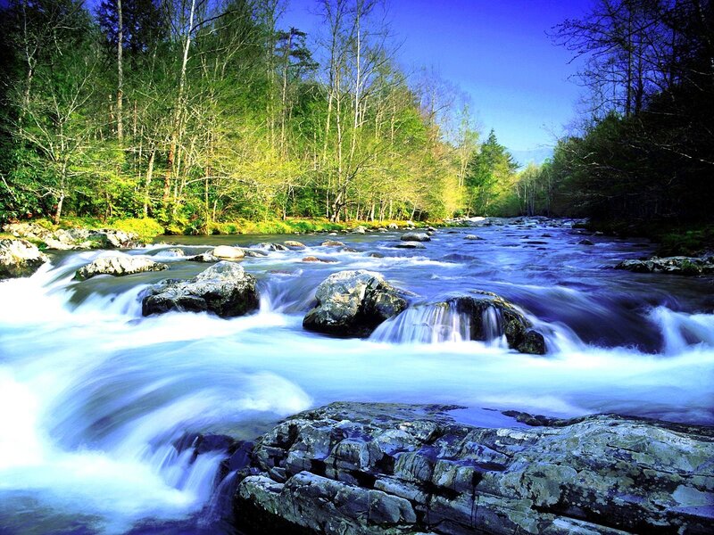 River Flowing Through Forest — Blue, Serene, Afternoon, Photograph, Rocks, Trees, Green, White