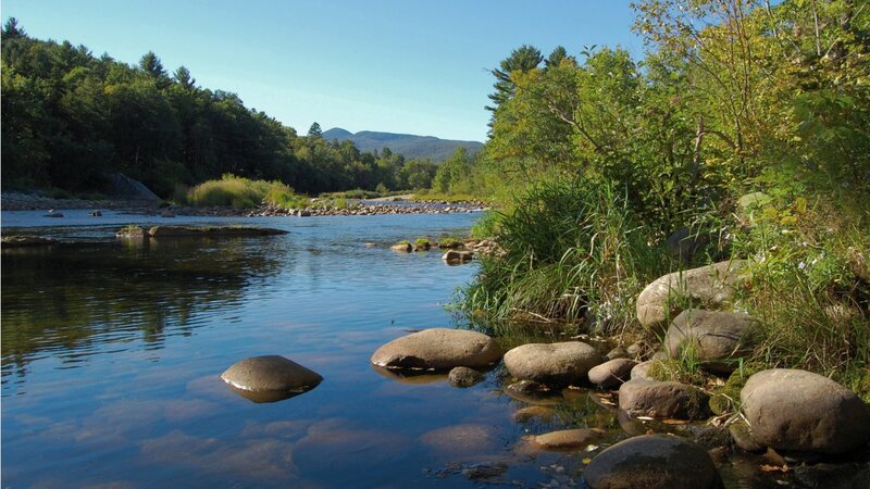 River Flowing Through Forest — Blue, Serene, Afternoon, Photograph, Rocks, Trees