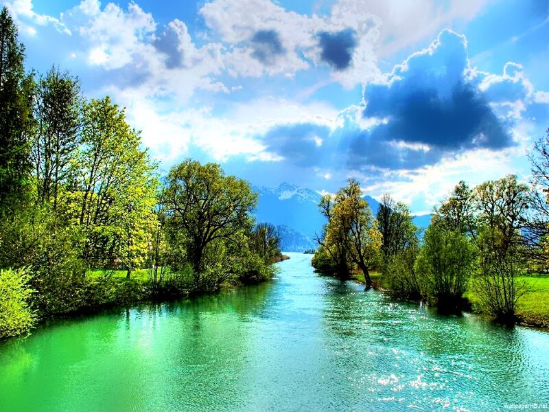 River Flowing Through Forest — Blue, Serene, Afternoon, Photograph