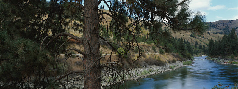 River Flowing Through Forest — Blue, Serene, Afternoon, Photograph, Tree, Hills