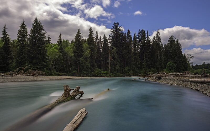 River Flowing Through Forest — Blue, Serene, Afternoon, Photograph, Trees, Driftwood, Sky