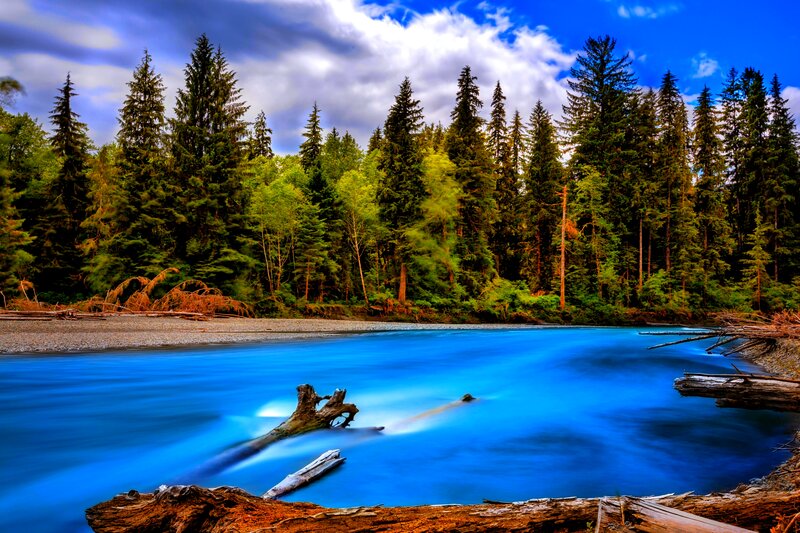 River Flowing Through Forest — Blue, Serene, Afternoon, Photograph, Trees, Driftwood