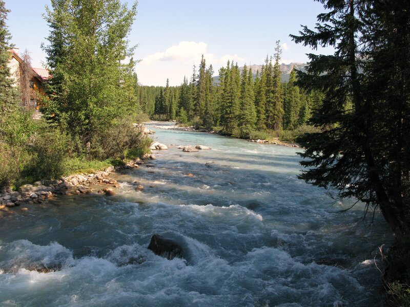 River Flowing Through Forest — Blue, Serene, Afternoon, Photograph, Trees, Rocks, Mountains, Green