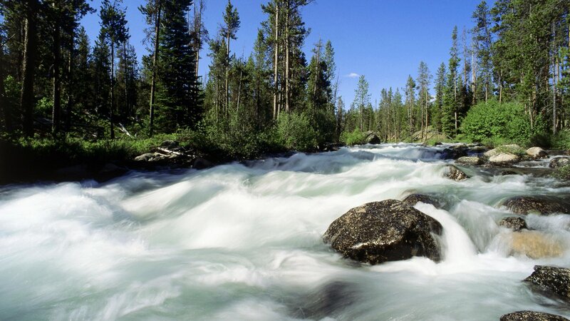 River Flowing Through Forest — Blue, Serene, Afternoon, Photograph, Trees, Rocks, Rapids