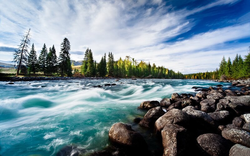 River Flowing Through Forest — Blue, Serene, Afternoon, Photograph, Trees, Rocks, Sky, Green, Gray