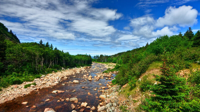 River Flowing Through Forest — Blue, Serene, Afternoon, Photograph, Trees, Rocks