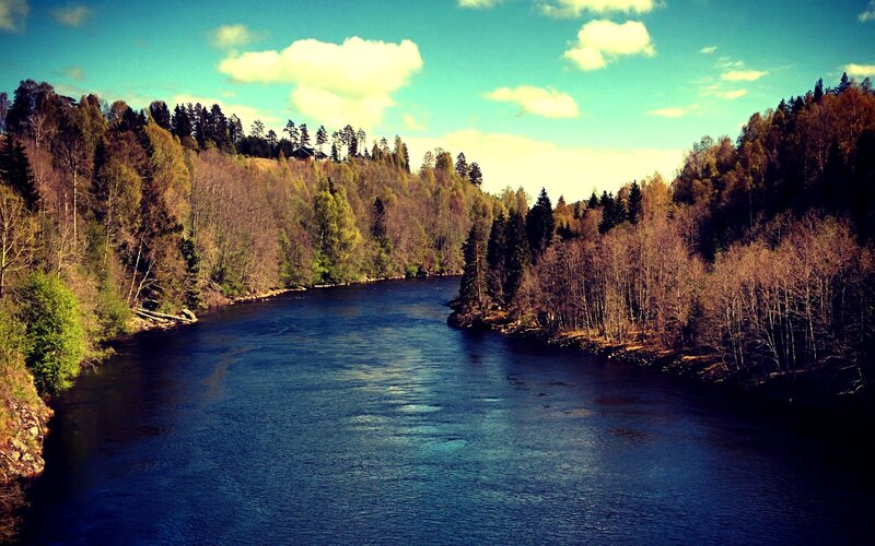 River Flowing Through Forest — Blue, Serene, Afternoon, Photograph, Trees, Sky, Clouds