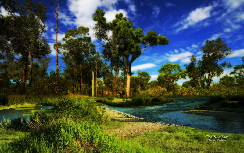 River Flowing Through Forest — Blue, Serene, Afternoon, Photograph, Trees, Sky
