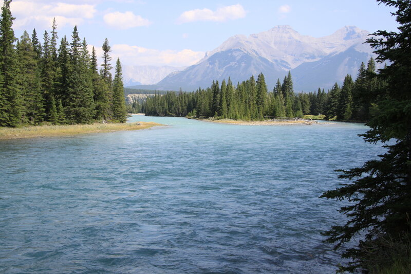 River Flowing Through Forest — Blue, Serene, Afternoon, Photograph, Trees
