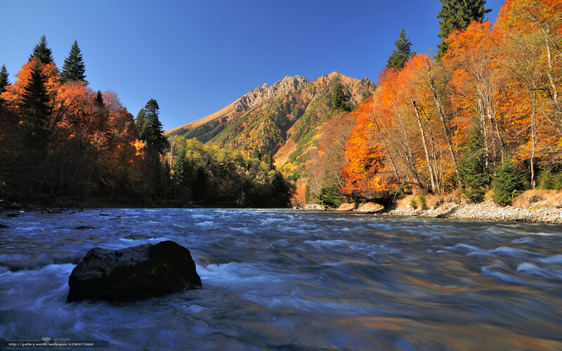 River Flowing Through Forest — Blue, Serene, Autumn, Photograph, Mountain