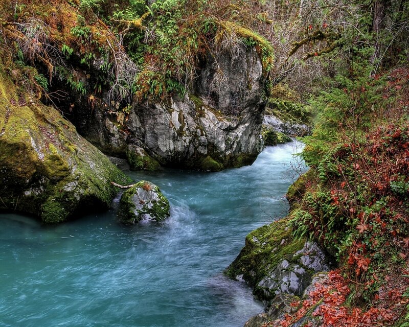 River Flowing Through Forest — Blue, Serene, Autumn, Photograph, Rocks, Moss