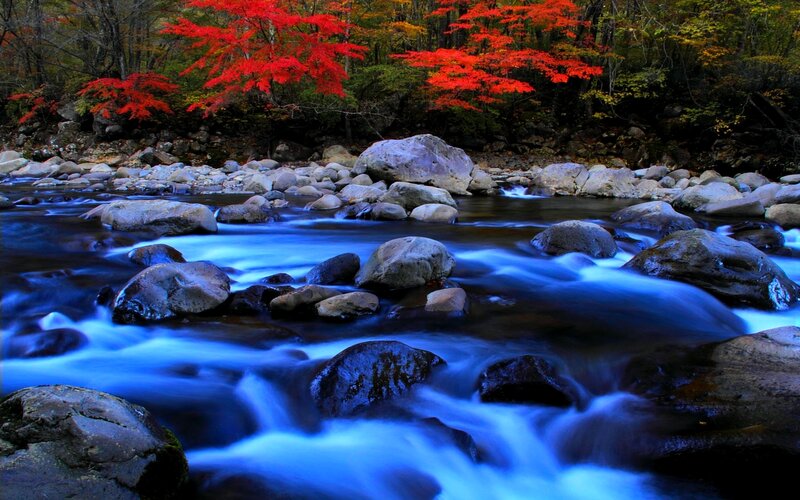 River Flowing Through Forest — Blue, Serene, Autumn, Photograph, Rocks