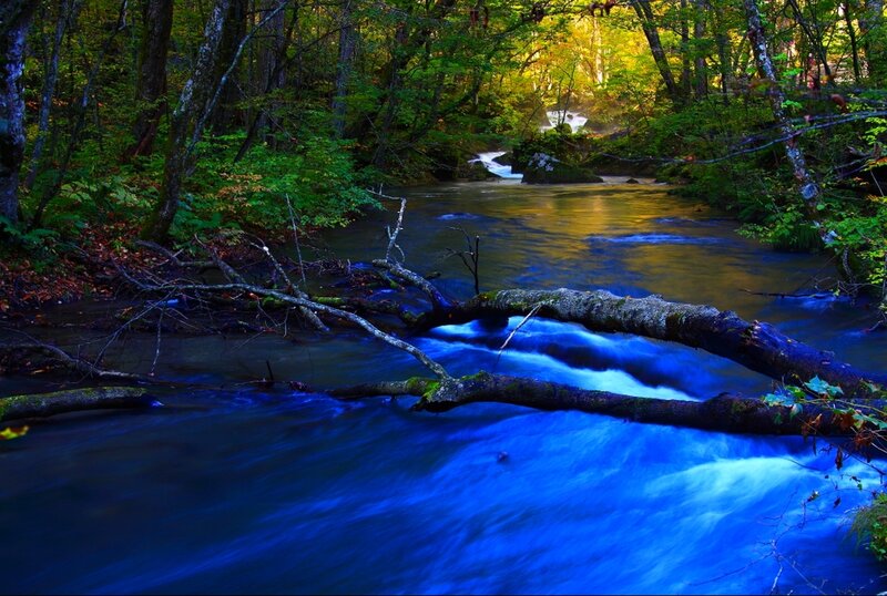 River Flowing Through Forest — Blue, Serene, Autumn, Photograph