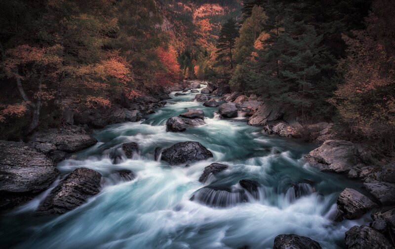 River Flowing Through Forest — Blue, Serene, Autumn, Photograph, Trees, Rocks, Fallen Leaves