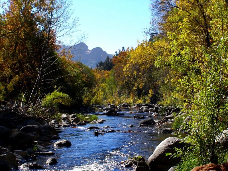 River Flowing Through Forest — Blue, Serene, Autumn, Photograph, Trees, Rocks